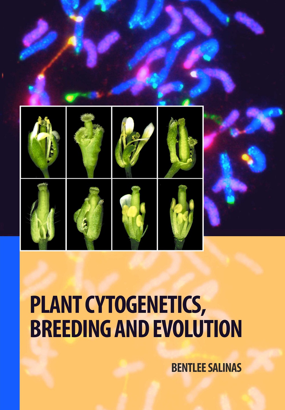 Plant Cytogenetics, Breeding and Evolution